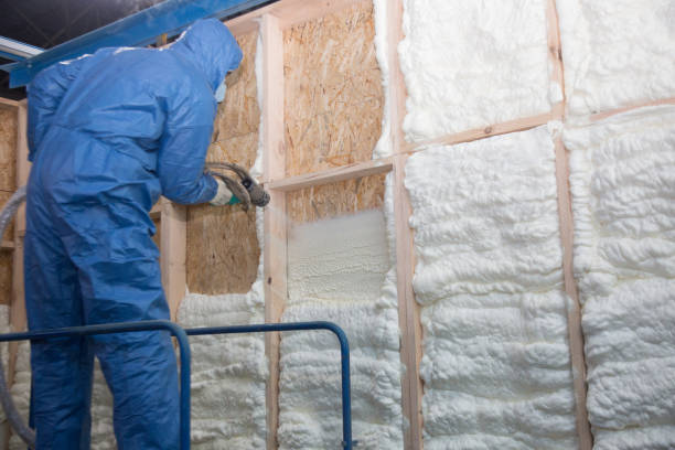 Trusted Louisville, NE Insulation Services Experts